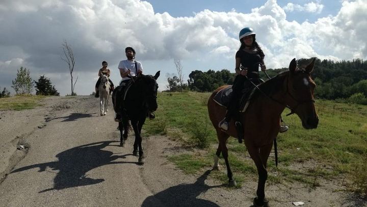 Horse Riding on Mount Vesuvius