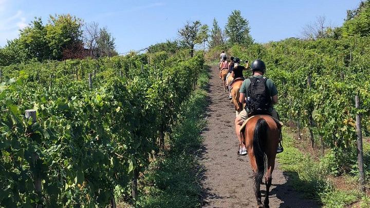 horse riding