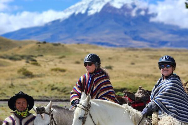 Private Cotopaxi for Beginners: Highland Riding and the Walk to 4,864 m