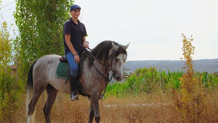 Horseback Riding on Vesuvius
