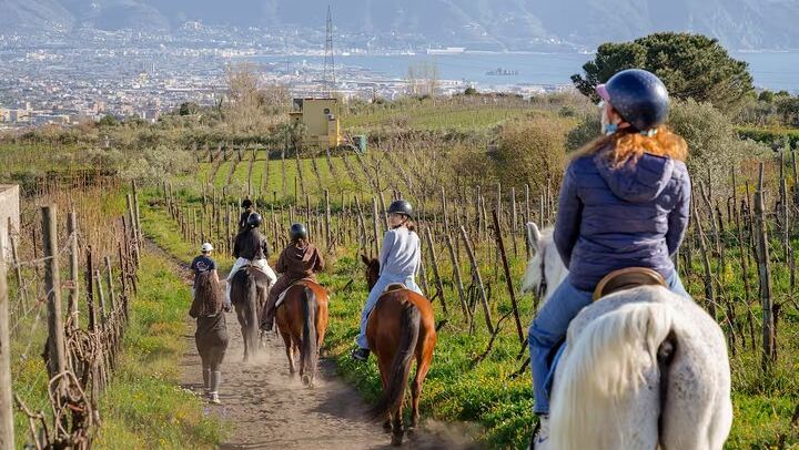 Horseback Riding on Vesuvius