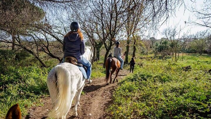 Horseback Riding on Vesuvius