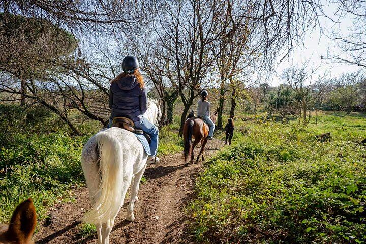 Horseback Riding on Vesuvius