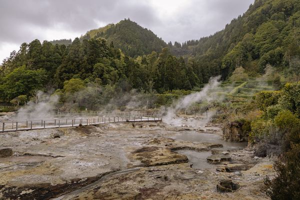 Furnas