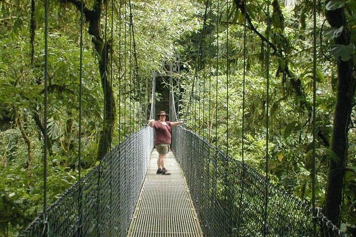 In the middle of rainforest