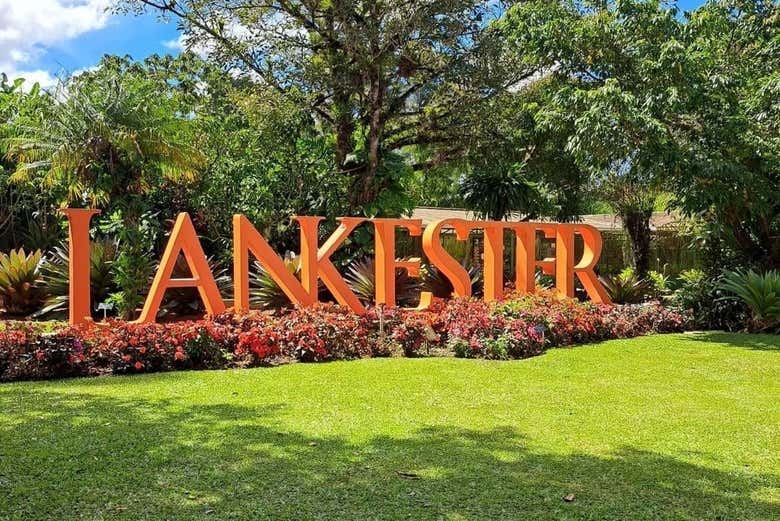 Irazu Volcano, Orosi Valley, & Lankester Garden Tour