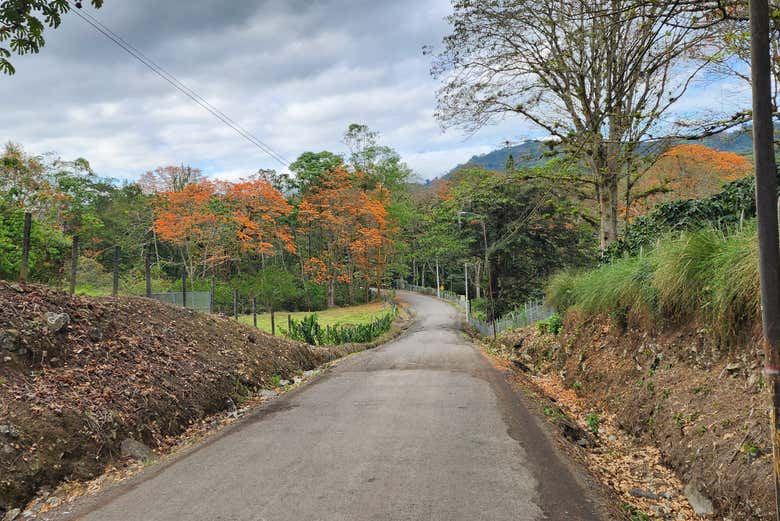 Irazu Volcano, Orosi Valley, & Lankester Garden Tour