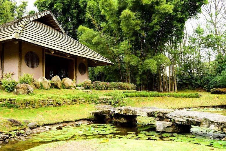 Irazu Volcano, Orosi Valley, & Lankester Garden Tour