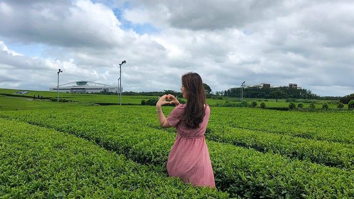 Jeju Island South UNESCO Highlights Day Tour With Mt Halla