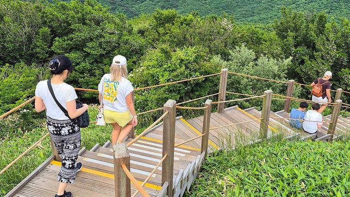 Jeju Island South UNESCO Highlights Day Tour With Mt Halla