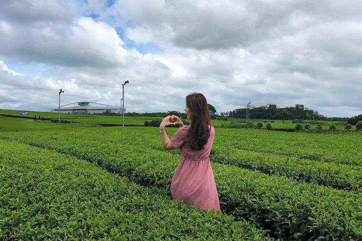 Jeju Island South UNESCO Highlights Day Tour With Mt Halla