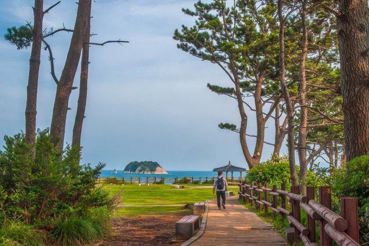 Jeju Island South UNESCO Highlights Day Tour With Mt Halla