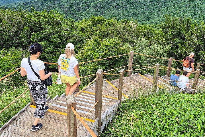 Jeju Island South UNESCO Highlights Day Tour With Mt Halla