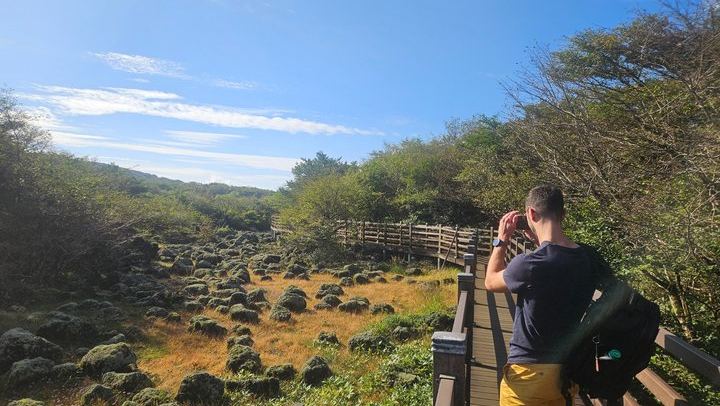 Jeju South-West Essentials: Hallasan & Signature Highlights