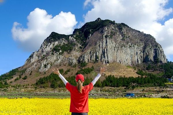 Southwest Jeju with No Shopping Stops: Four Sites and a Weather-Picked First Stop