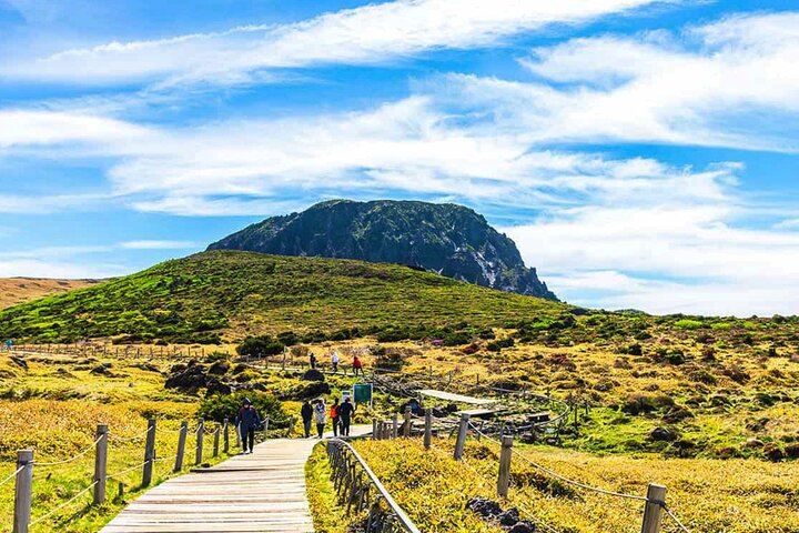 Jeju South-West Essentials: Hallasan & Signature Highlights