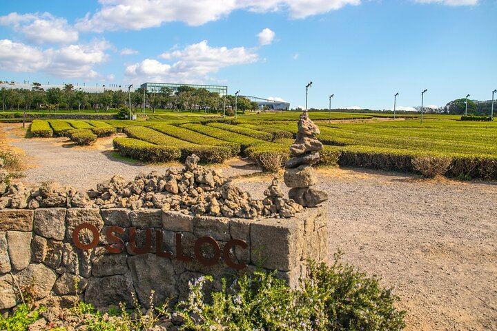 Jeju Southern UNESCO Full Day Tour with Mt.Halla