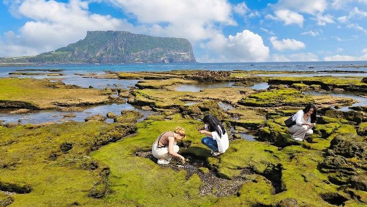 Jeju Tour | Jungmun & Seogwipo Pick-up | Seongsan, Haenyeo, Cave