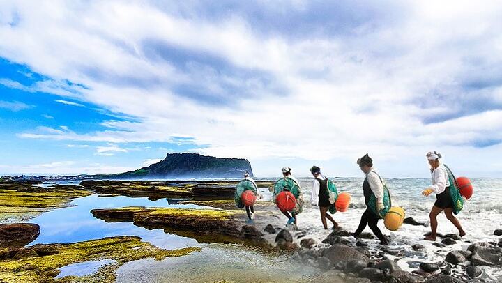 Jeju Tour | Jungmun & Seogwipo Pick-up | Seongsan, Haenyeo, Cave
