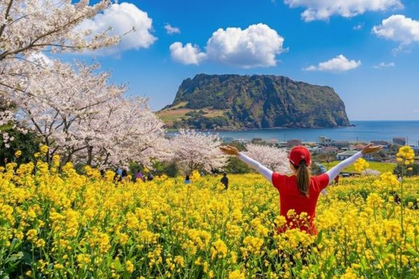Jeju from Jungmun and Seogwipo: a 10.30 Start and No Shopping Stops