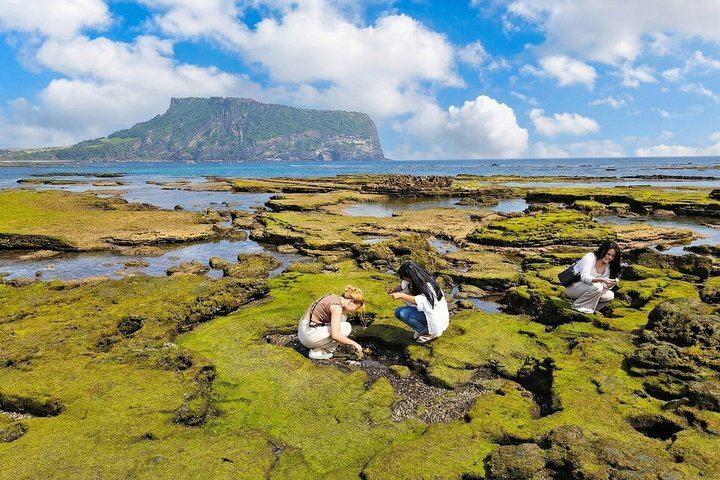 Jeju Tour | Jungmun & Seogwipo Pick-up | Seongsan, Haenyeo, Cave