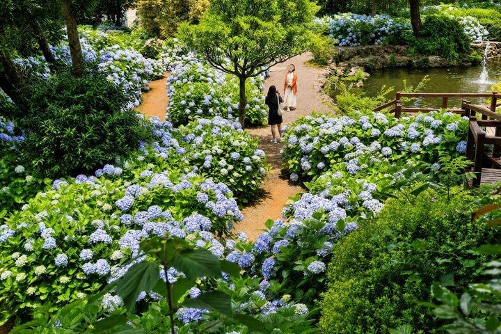 Jeju: UNESCO-Listed Southern Authentic Day Tour