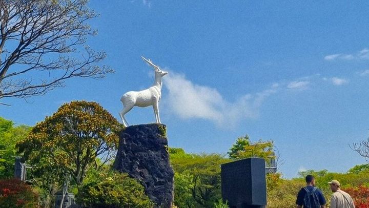 Jeju WestSouth One Day Authentic Tour with MT.Halla & UNESCO