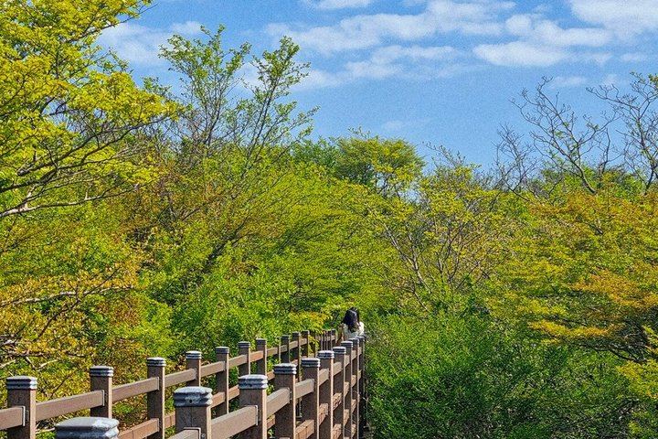 Jeju WestSouth One Day Authentic Tour with MT.Halla & UNESCO