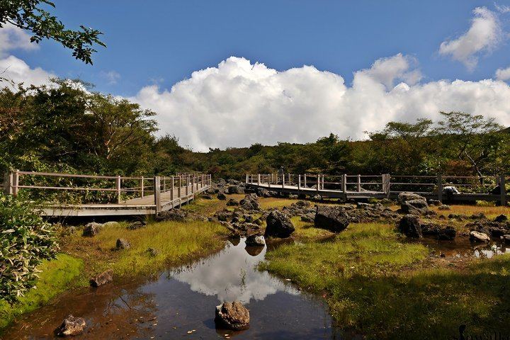 Jeju WestSouth One Day Authentic Tour with MT.Halla & UNESCO