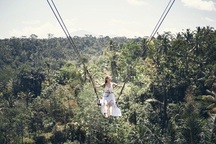 Jungle Swing