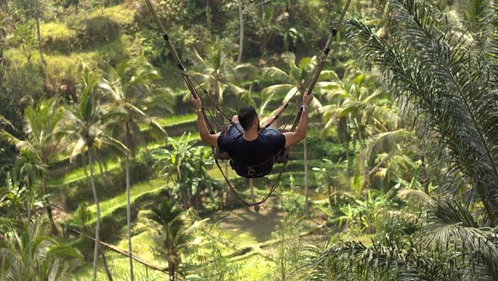 Jungle Swing