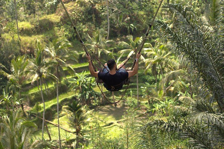 Jungle Swing