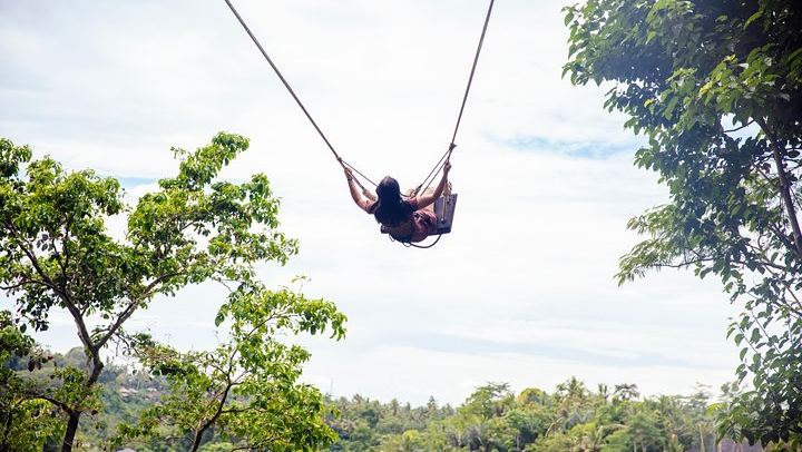 Jungle Swing