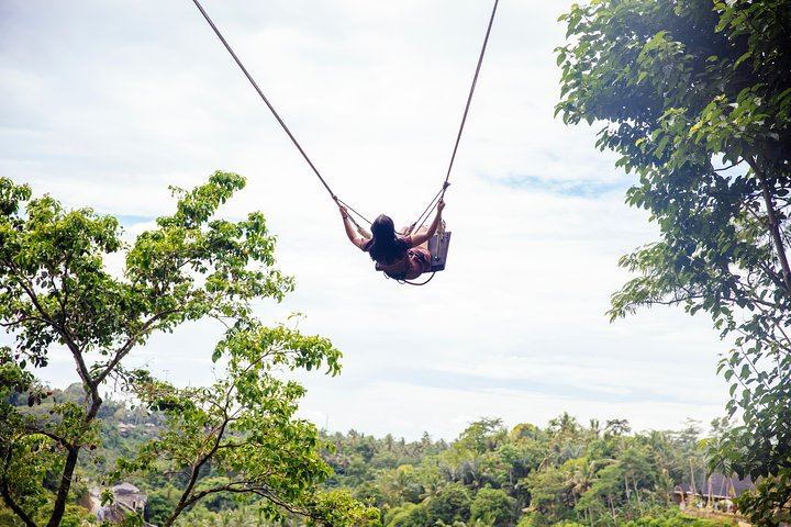 Jungle Swing