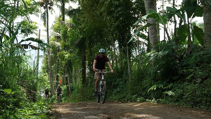 Kintamani Cultural and Nature Cycling Tour ( Manual Bike )