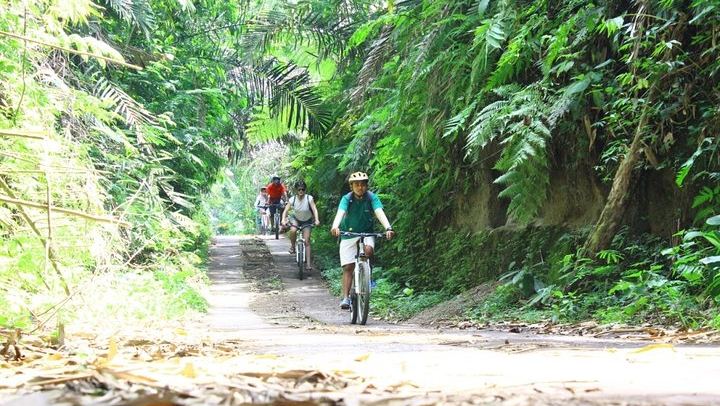 Kintamani Cultural and Nature Cycling Tour ( Manual Bike )