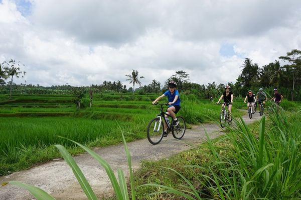 Abuan to Payangan by Manual Bike: Gunung Raung Temple, Subak Fields and Greenkubu