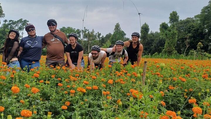 Kintamani Downhill Cycling Tour – Scenic Volcano & Rice Terrace