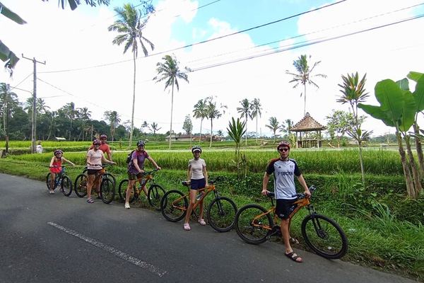 Kintamani Downhill Cycling from Bayung Gede: School, Compound, Temple and Lunch