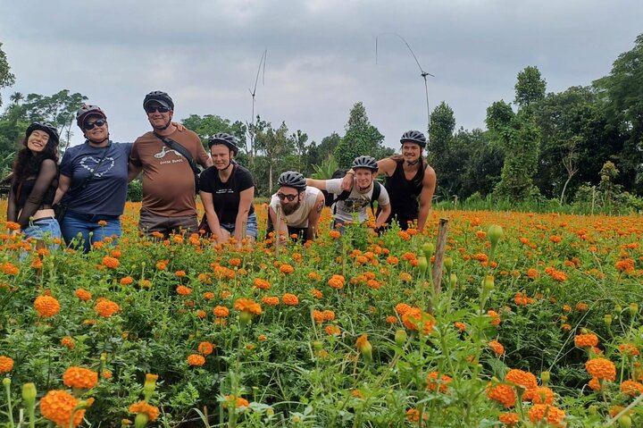 Kintamani Downhill Cycling Tour – Scenic Volcano & Rice Terrace
