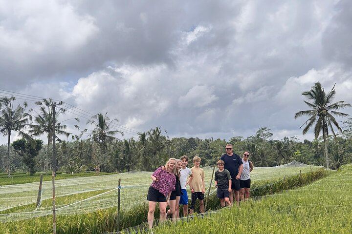Kintamani Downhill Cycling Tour – Scenic Volcano & Rice Terrace