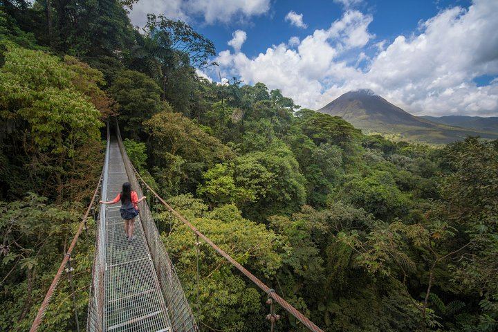 La Fortuna 4-in-1 Tour: Bridges, Volcano, Waterfall