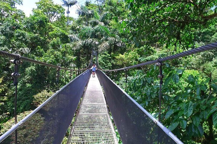 La Fortuna Waterfall, Hanging Bridges, Arenal Volcano Combo Tour
