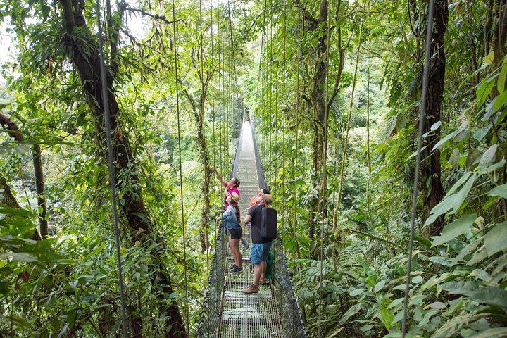 La Fortuna Waterfall, Hanging Bridges, Arenal Volcano Combo Tour