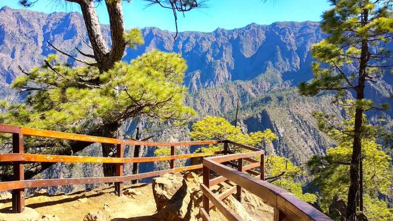 La Palma & Tajogaite Volcano Day Trip