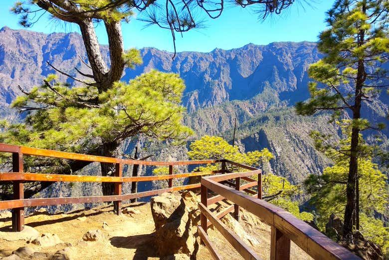 La Palma & Tajogaite Volcano Day Trip