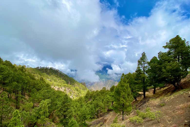 La Palma & Tajogaite Volcano Day Trip