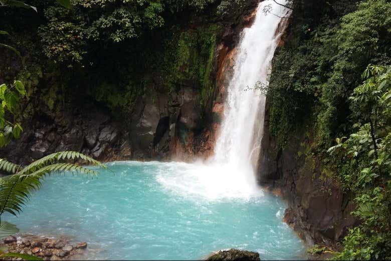 La Paz Waterfall, Celeste River & Hot Springs Tour