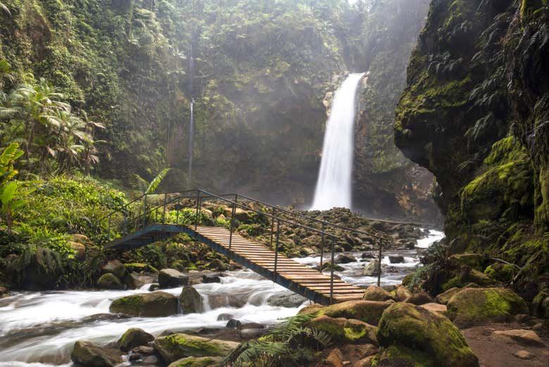 La Paz Waterfall, Celeste River & Hot Springs Tour