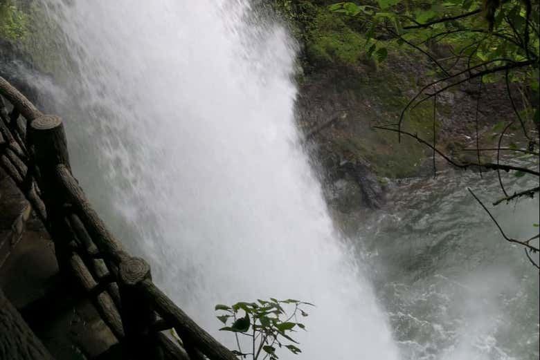 La Paz Waterfall, Celeste River & Hot Springs Tour